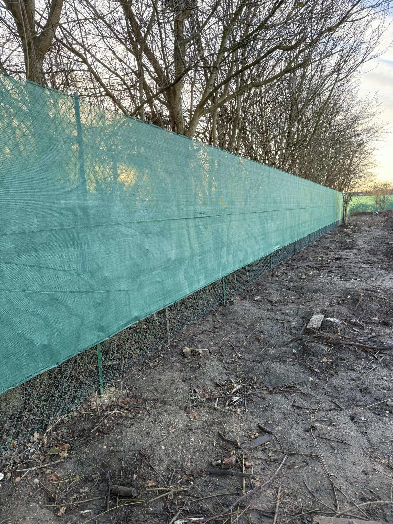 WhatsApp Image 2026-03-11 at 09.14.49 (1)