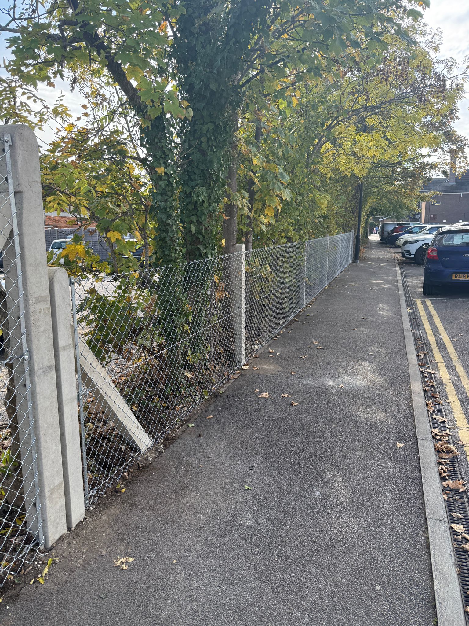 WhatsApp Image 2026-03-11 at 09.14.49 (2)