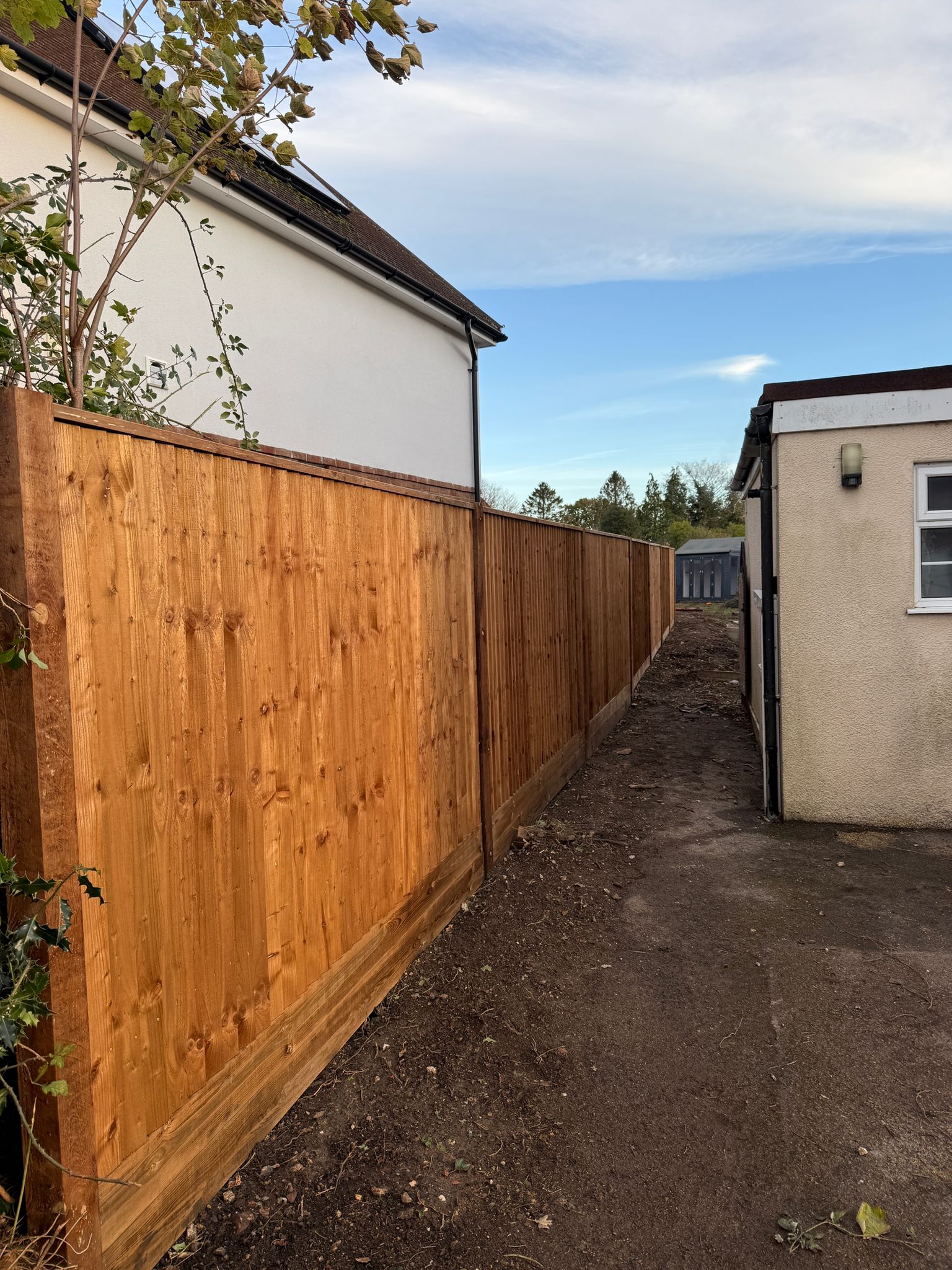 WhatsApp Image 2026-03-11 at 09.15.10