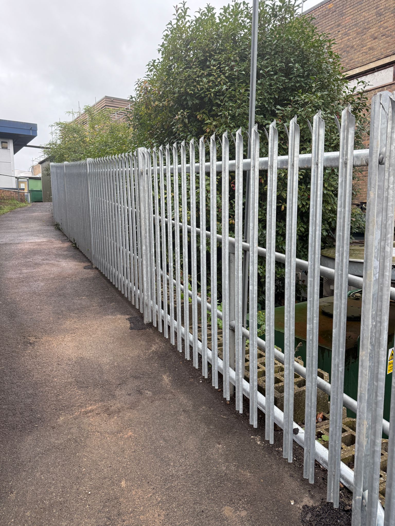 WhatsApp Image 2026-03-11 at 09.15.24