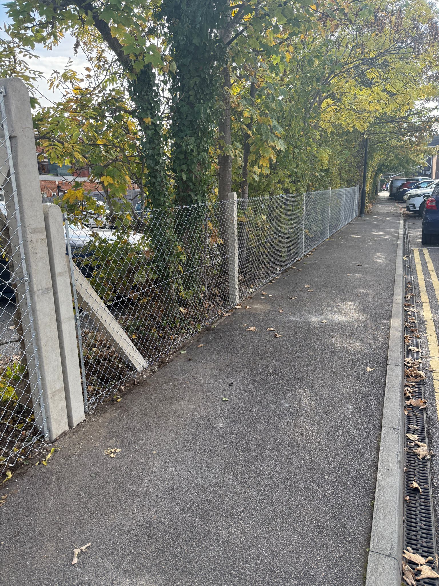 WhatsApp Image 2026-03-11 at 09.15.26 (1)