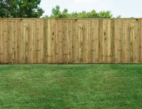 How Professional Fencing Can Completely Transform Your Garden in Hampshire & Surrey