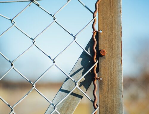 The Signs Your Garden Needs Fence Panel Repairs Before Summer