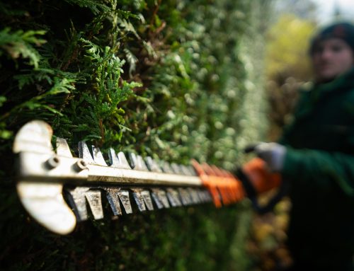 Landscaping In Fleet: Simple Ways To Make Your Garden More Practical