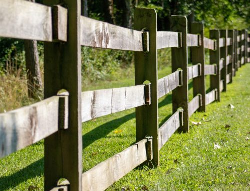 Fence Repairs In Camberley: When Should You Repair Or Replace Your Fence?