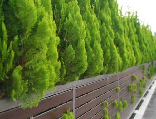 Fencing In Bracknell: What Type Of Fence Is Best For Your Garden?